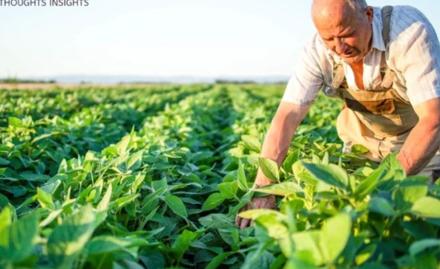 UNPRG - Ingeniero Agrónomo Escurra Clso